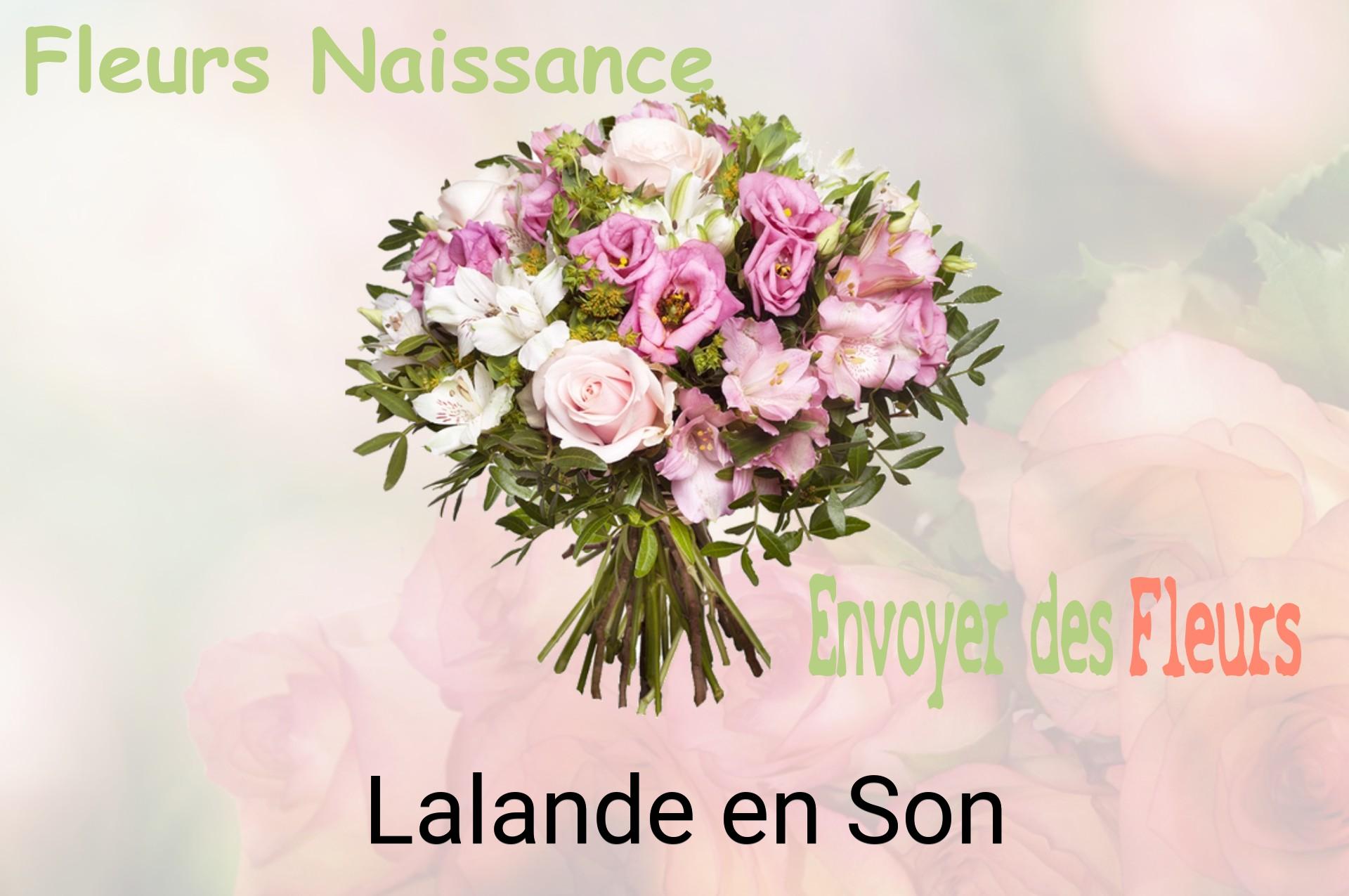 Bouquet de fleurs de naissance livré à Lalande-en-Son
